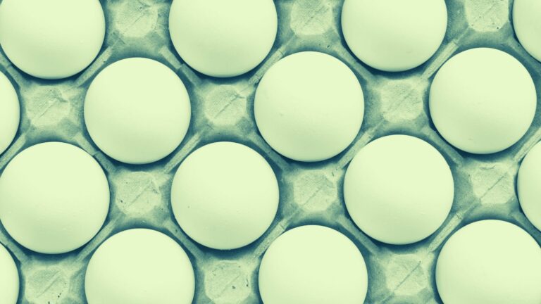 Build your own Generative Adversarial Networks (GANs) from Scratch