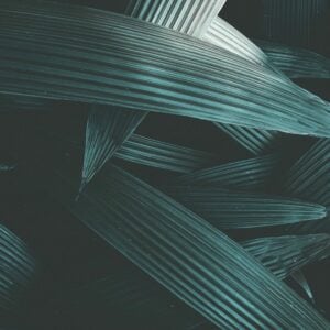 CDS Video Series | Sec07. COMPUTER VISION