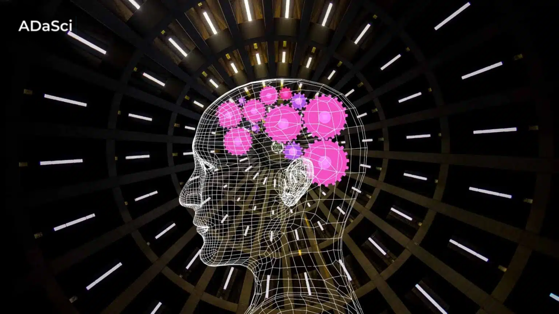 Fine-Tuning LLMs for Domain-Specific Tasks using Unsloth